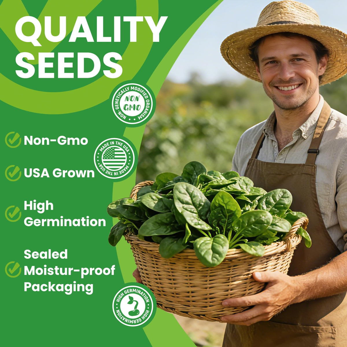 Fruivity heirloom cilantro seeds pack enabling organic gardening and fresh leaves.