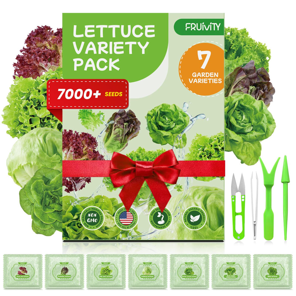 Fruivity lettuce seeds collection pack for home salads, seven varieties showcased