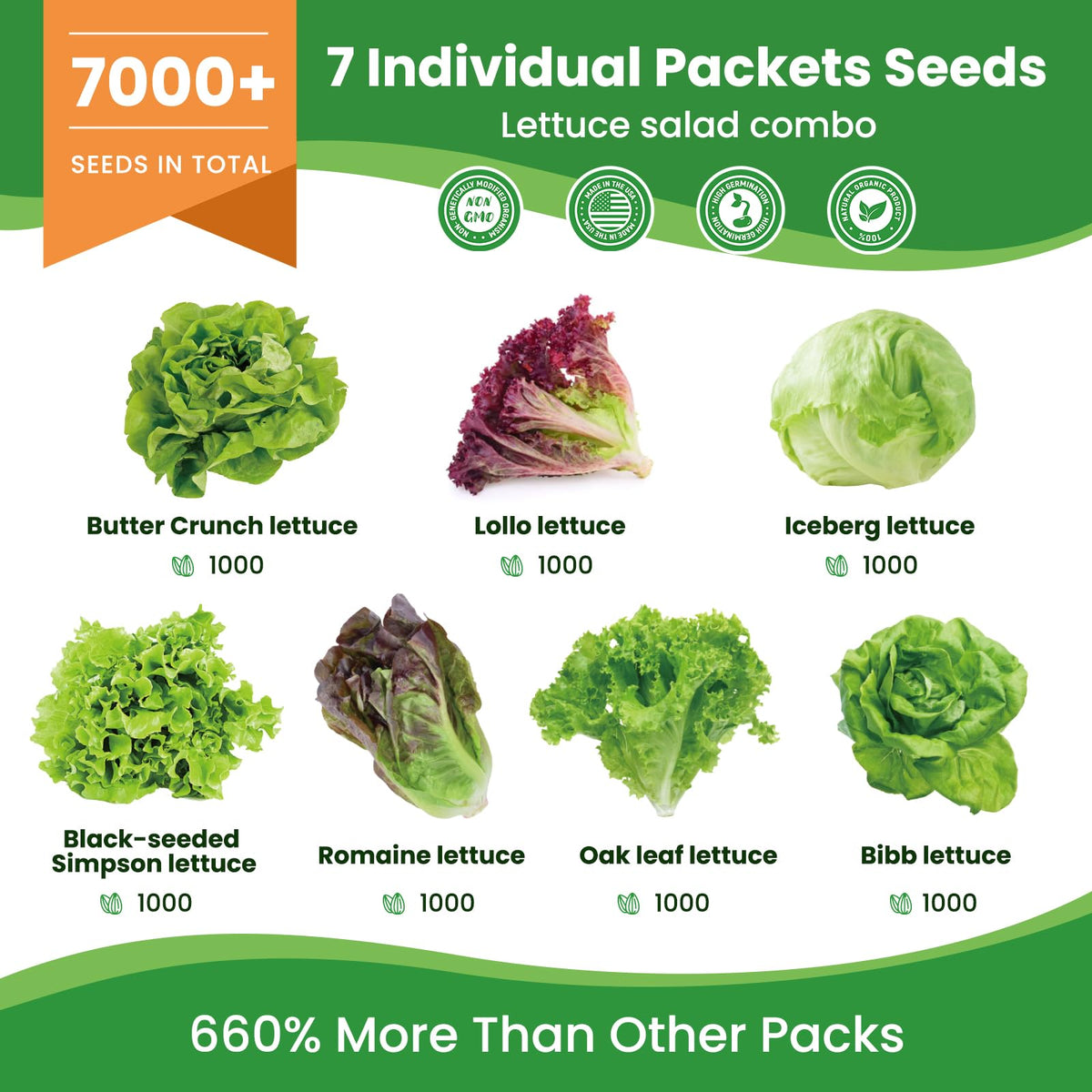 Fruivity heirloom lettuce seeds set for year-round garden harvests