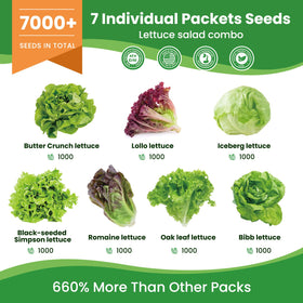 Fruivity heirloom lettuce seeds set for year-round garden harvests