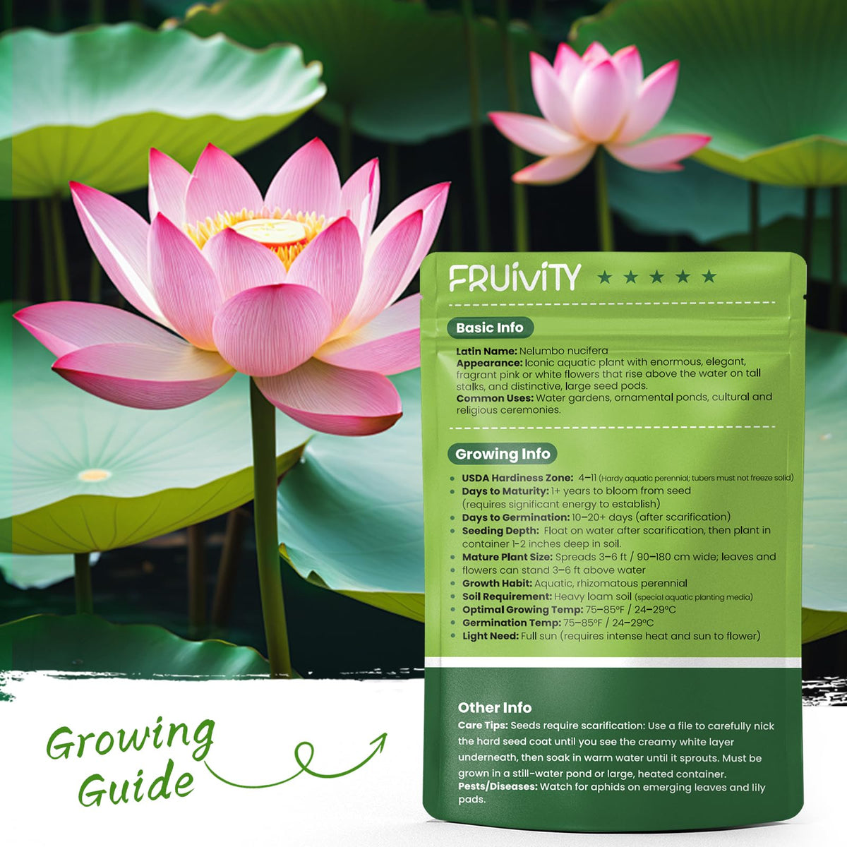 Fruivity lotus seeds come with a step-by-step planting guide