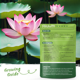 Fruivity lotus seeds come with a step-by-step planting guide