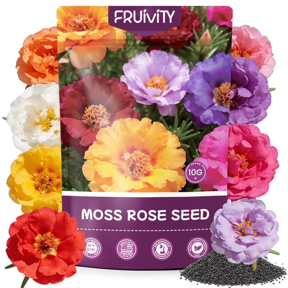 Fruivity Moss Rose seeds bloom in the garden, adding low-maintenance color.