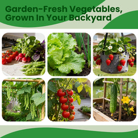 Fruivity outdoor garden bed with multiple varieties ready for planting.