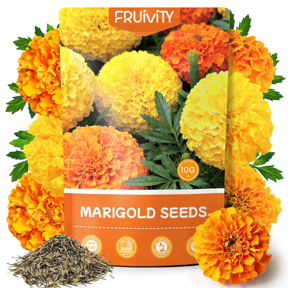 Fruivity Petite French Marigold seeds pack offers vibrant blooms for rapid garden color.