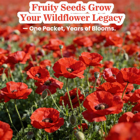 Fruivity sowing tips for fall or spring planting.