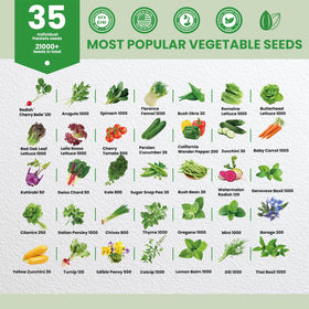 Fruivity seed bags labeled moisture-proof stay fresh and ready for planting.