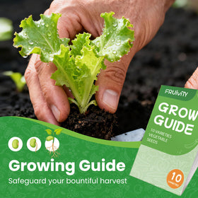 Fruivity seed packets and tools in a starter kit for beginners