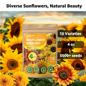 Fruivity 5000+ seeds in 4 oz pack enabling vibrant, extended bloom display