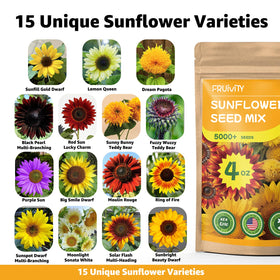 Fruivity mix with Dwarf varieties for container gardening and balcony spaces