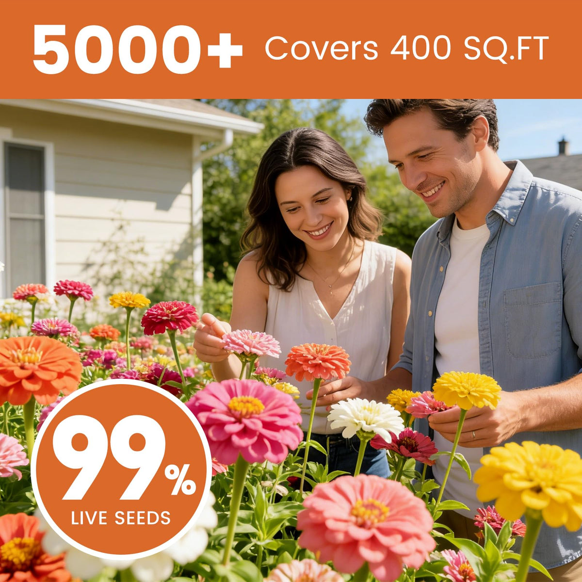 Fruivity Zinnia seeds seven-color mix displaying seven vibrant hues.