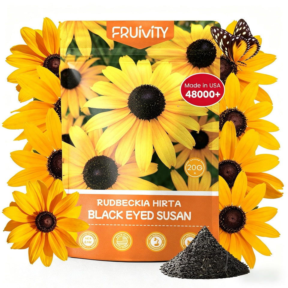 Fruivity Black-Eyed Susan seeds bulk pack ready for sowing in borders and meadows.