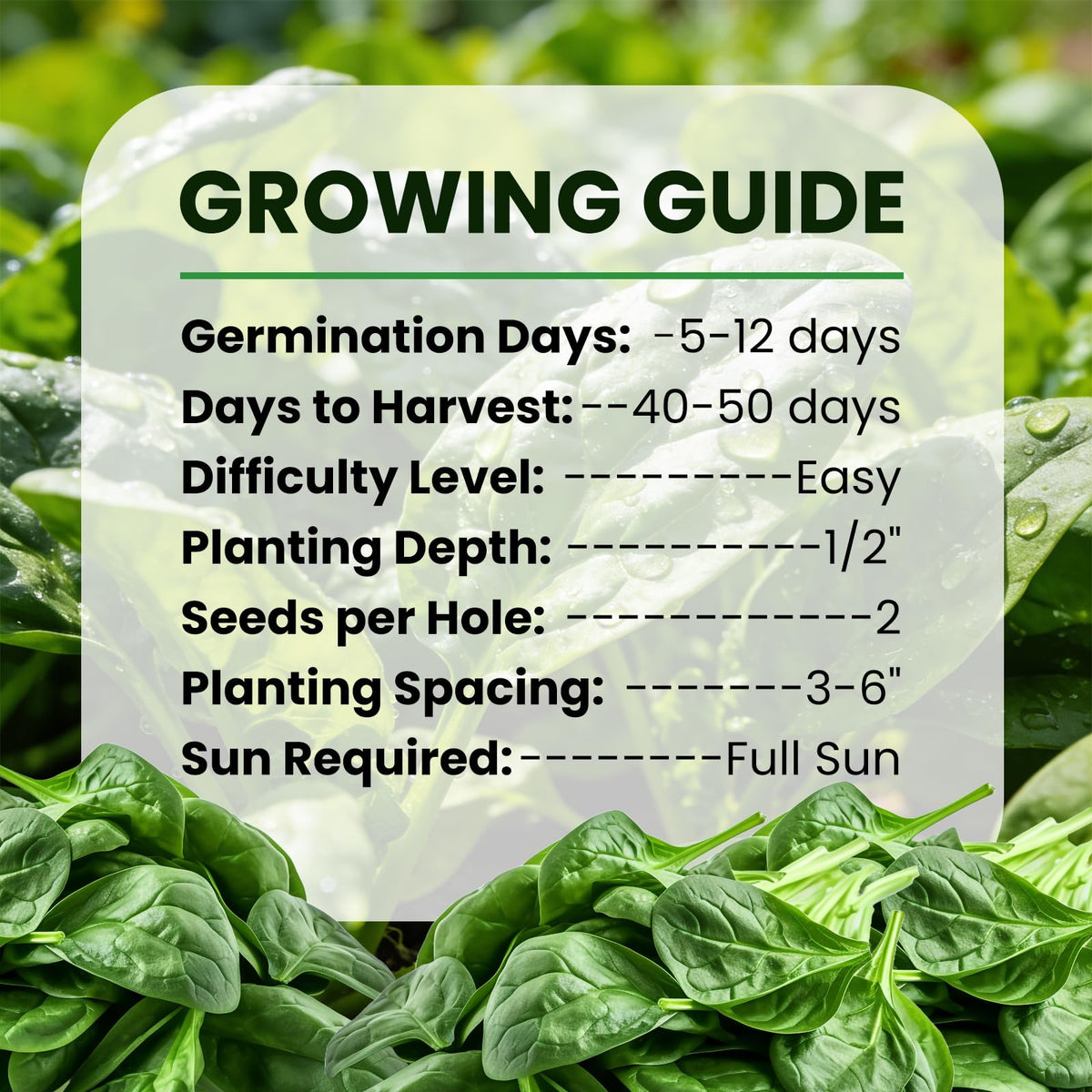 Fruivity branding emphasizes safety and sustainability in home gardening.