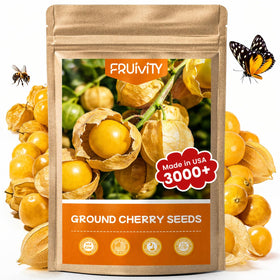 Fruivity ground cherry seeds bulk packet ready for sowing in sunny borders.