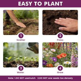 Fruivity high germination seeds offer quick sprouting in 7–20 days.