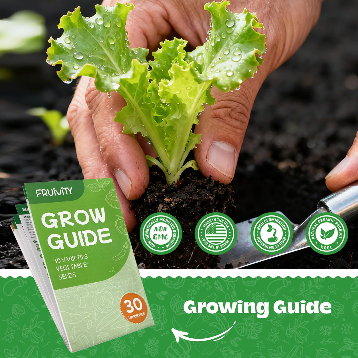 Fruivity seed-dibber and leaf clipper included for precise planting.