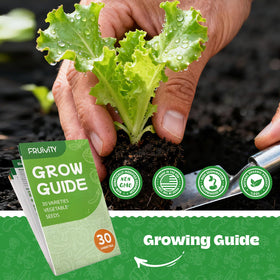 Fruivity seed-dibber and leaf clipper included for precise planting.