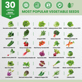 Fruivity indoor-outdoor garden kit enables year-round harvest in small spaces.