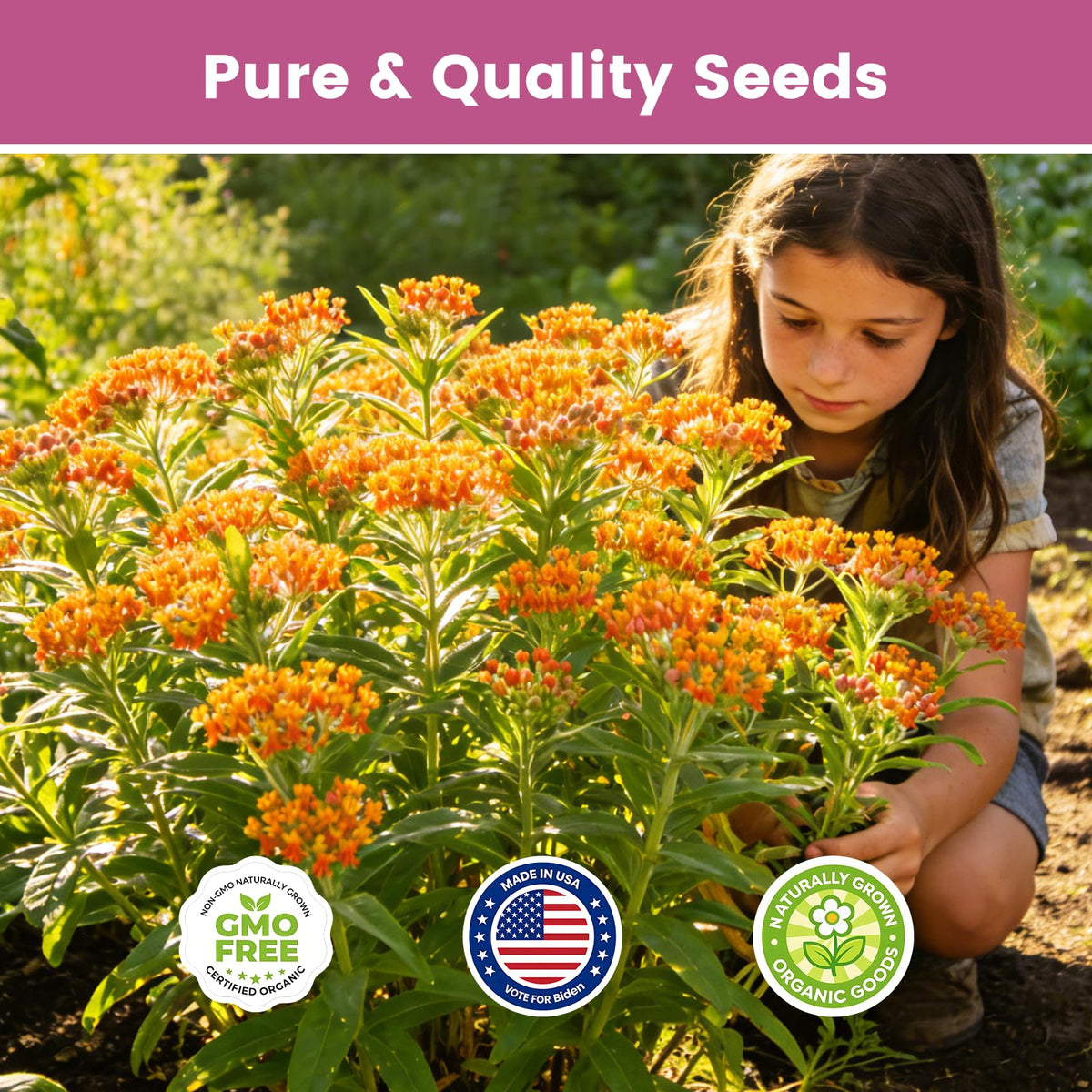 Fruivity milkweed seeds mix creates migratory habitat stops along monarch routes