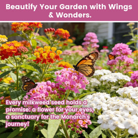 Fruivity milkweed seeds mix thrives in dry and moist soils, versatile landscape