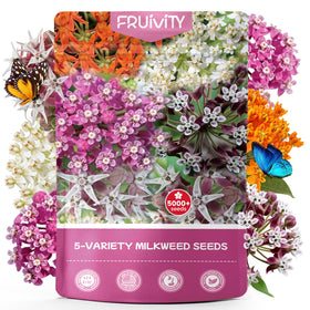 Fruivity milkweed seeds mix pack ready for monarch habitat creation and pollinator support
