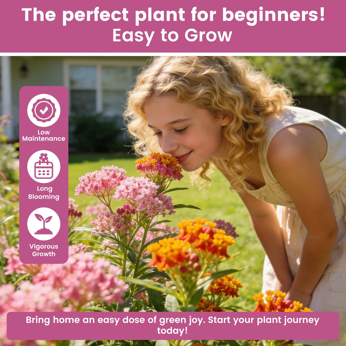 Fruivity milkweed seeds mix attracts bees and hummingbirds with nectar-rich blooms