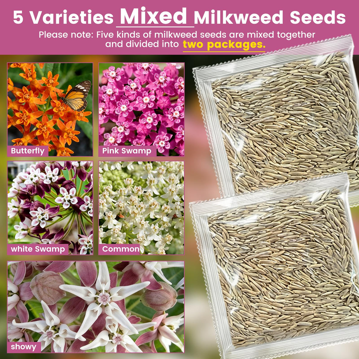 Fruivity milkweed seeds mix varieties bloom vibrant orange, pink, and purple flowers