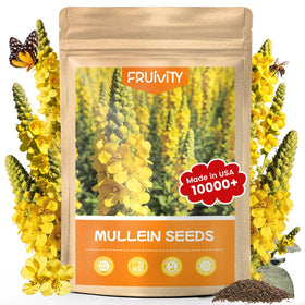 Fruivity mullein seeds bulk pack ready for sowing in borders and beds