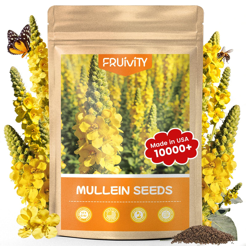 Fruivity mullein seeds bulk pack ready for sowing in borders and beds