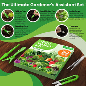 Fruivity premium germination seeds for strong start and faster sprouts.