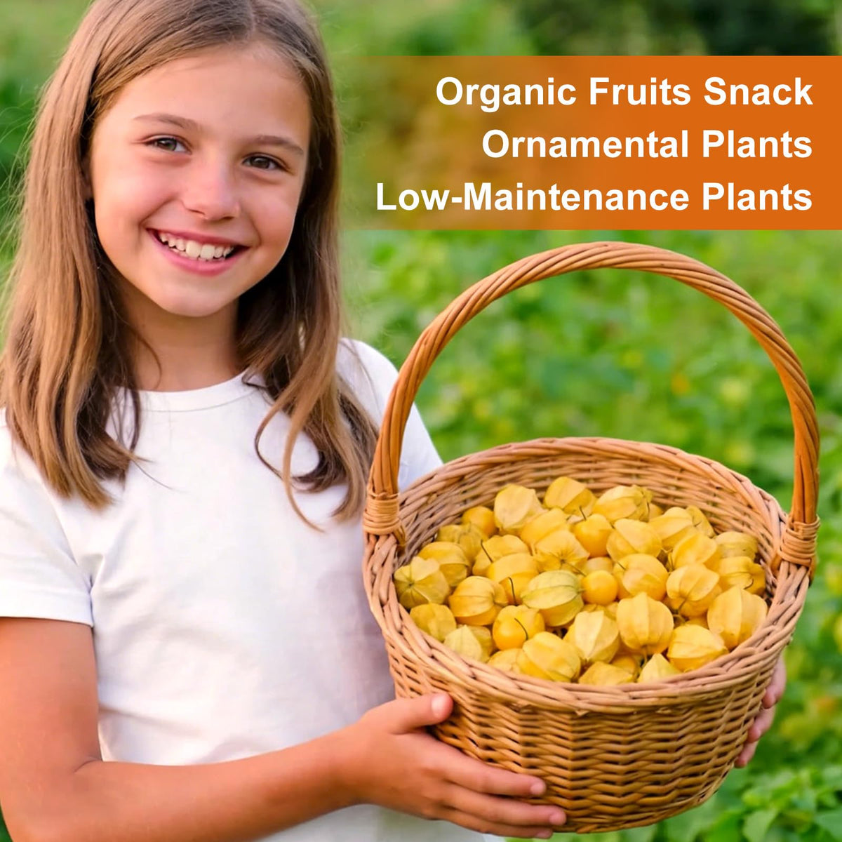 Fruivity golden fruits ripening with tropical flavors for fresh eating.