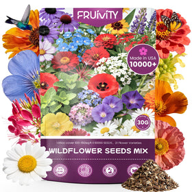 Fruivity bulk wildflower seeds ready for sowing in diverse garden beds.