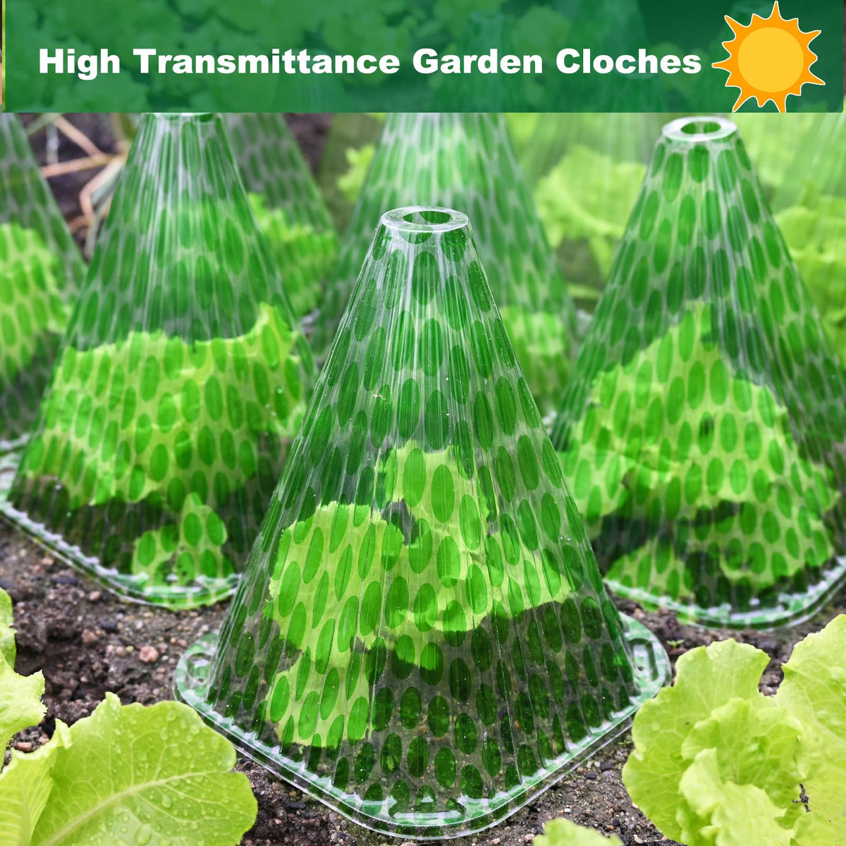 Fshow clear dome provides visibility to monitor plant growth