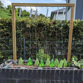 Fshow dark green cloche pack blends with garden aesthetics