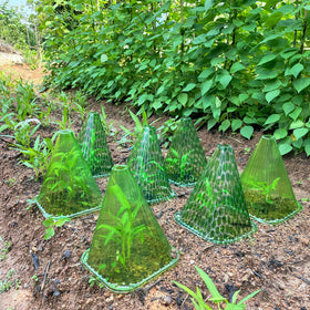 Fshow multipurpose cloche supports home gardens and landscapes
