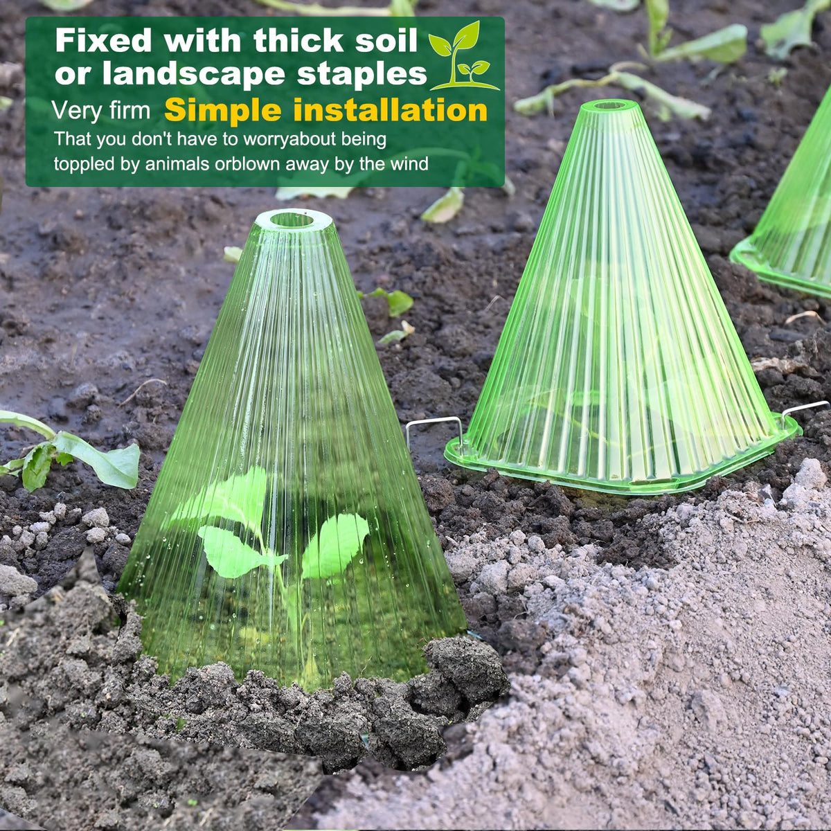 Fshow plant covers enable seasonal use and easy maintenance
