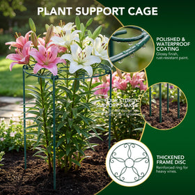 FuBegi peony cages 30 inch height option suits tall plants.