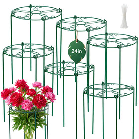 FuBegi peony cages with 16-inch top grid provide sturdy upright support for tall blooms.