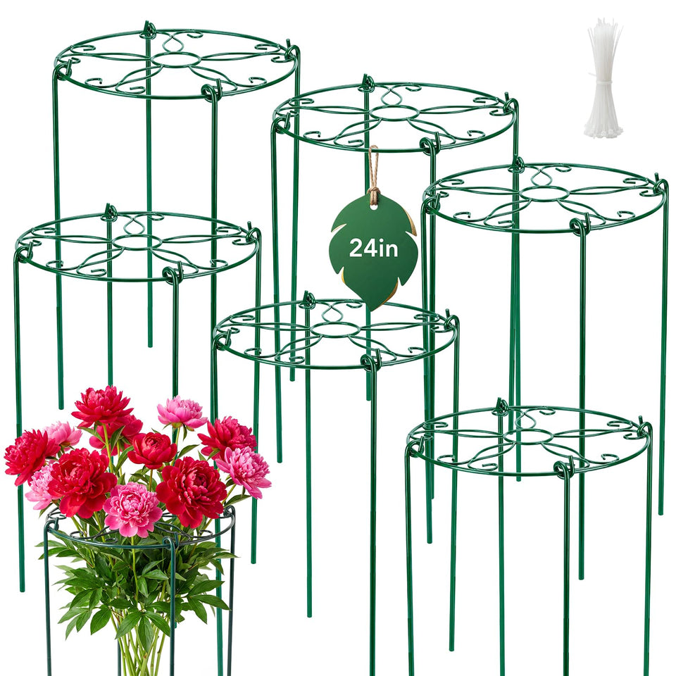 FuBegi peony cages with 16-inch top grid provide sturdy upright support for tall blooms.