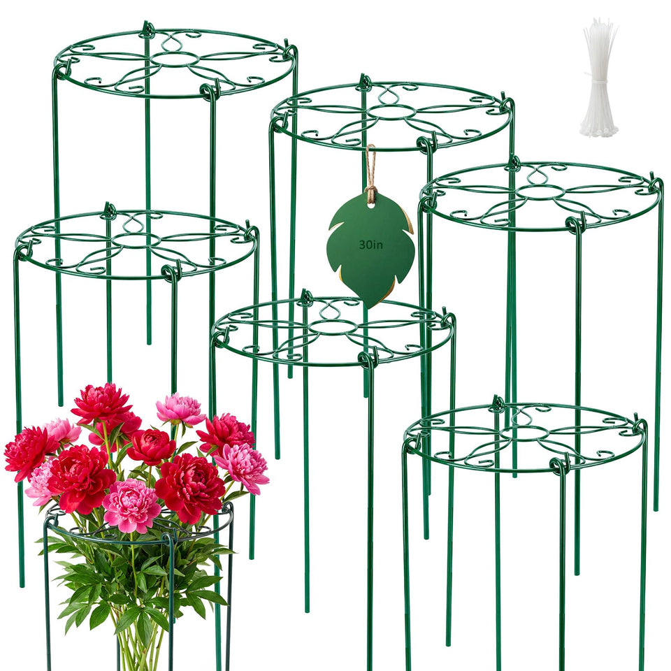FuBegi peony cages top grid ring supporting tall blooms.