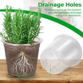 FUIJOL 10-inch clear nursery pot provides root visibility and moisture check