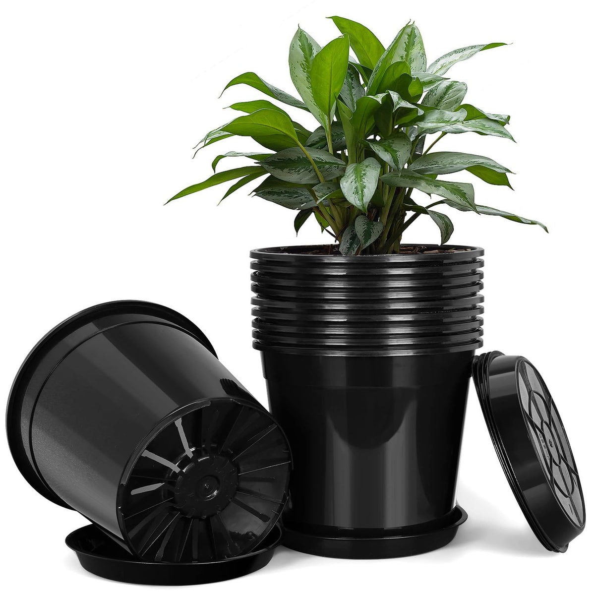 FUIJOL 2-gallon plastic pot with drip tray for clean drainage