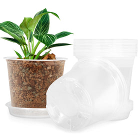 FUIJOL 5-inch clear nursery pot with saucer shows root growth for easy monitoring and watering.