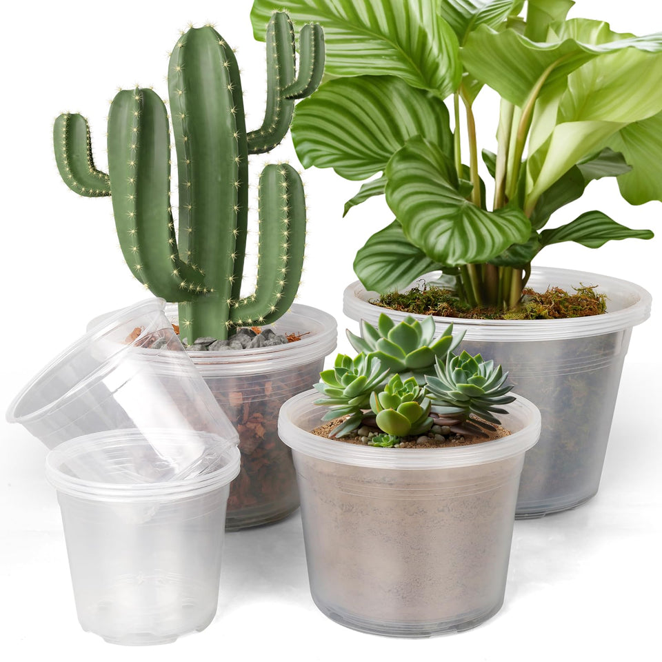 FUIJOL 6-inch clear nursery pot with drainage for easy root inspection