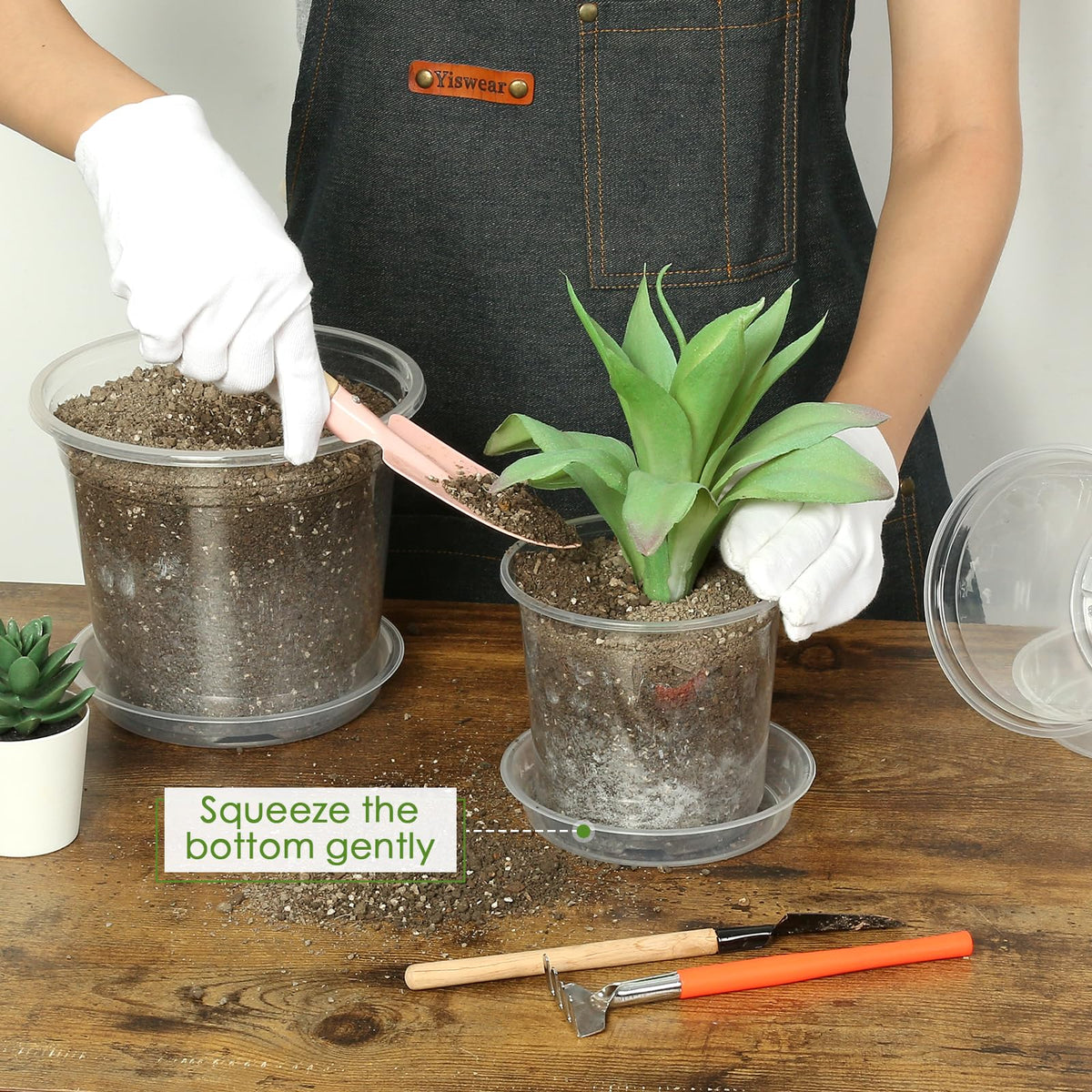 FUIJOL clear nursery planter view lets you monitor root growth visually.