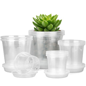 Fuijol clear 4-inch nursery pot with drainage for root checks