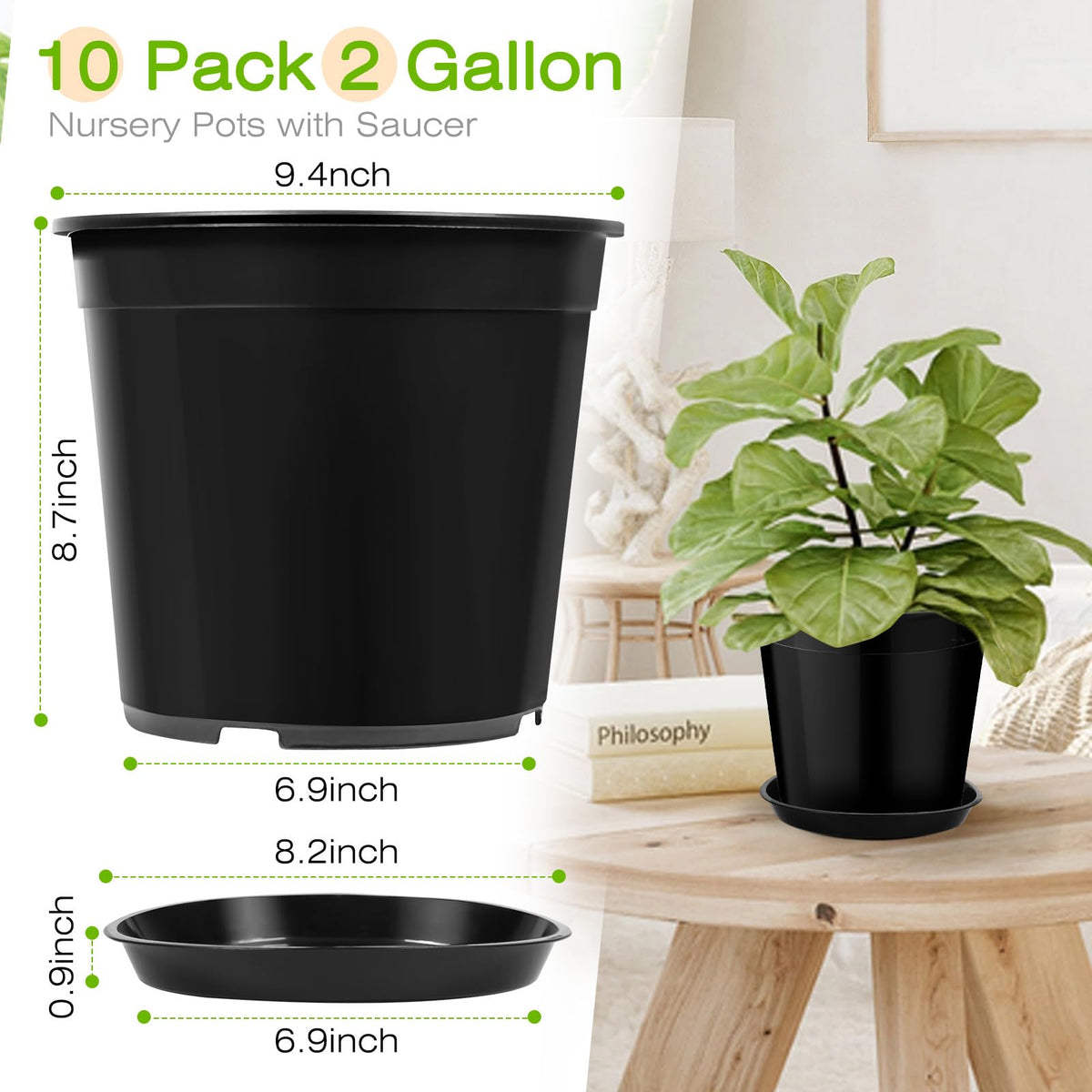 FUIJOL deep 2-gallon planter supports robust root growth