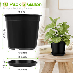 FUIJOL deep 2-gallon planter supports robust root growth