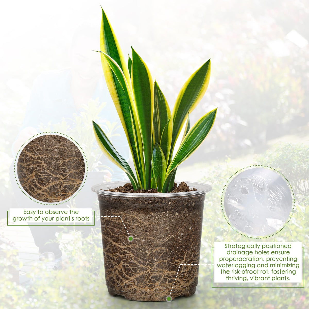 FUIJOL pot features drainage holes for aeration and healthier roots.