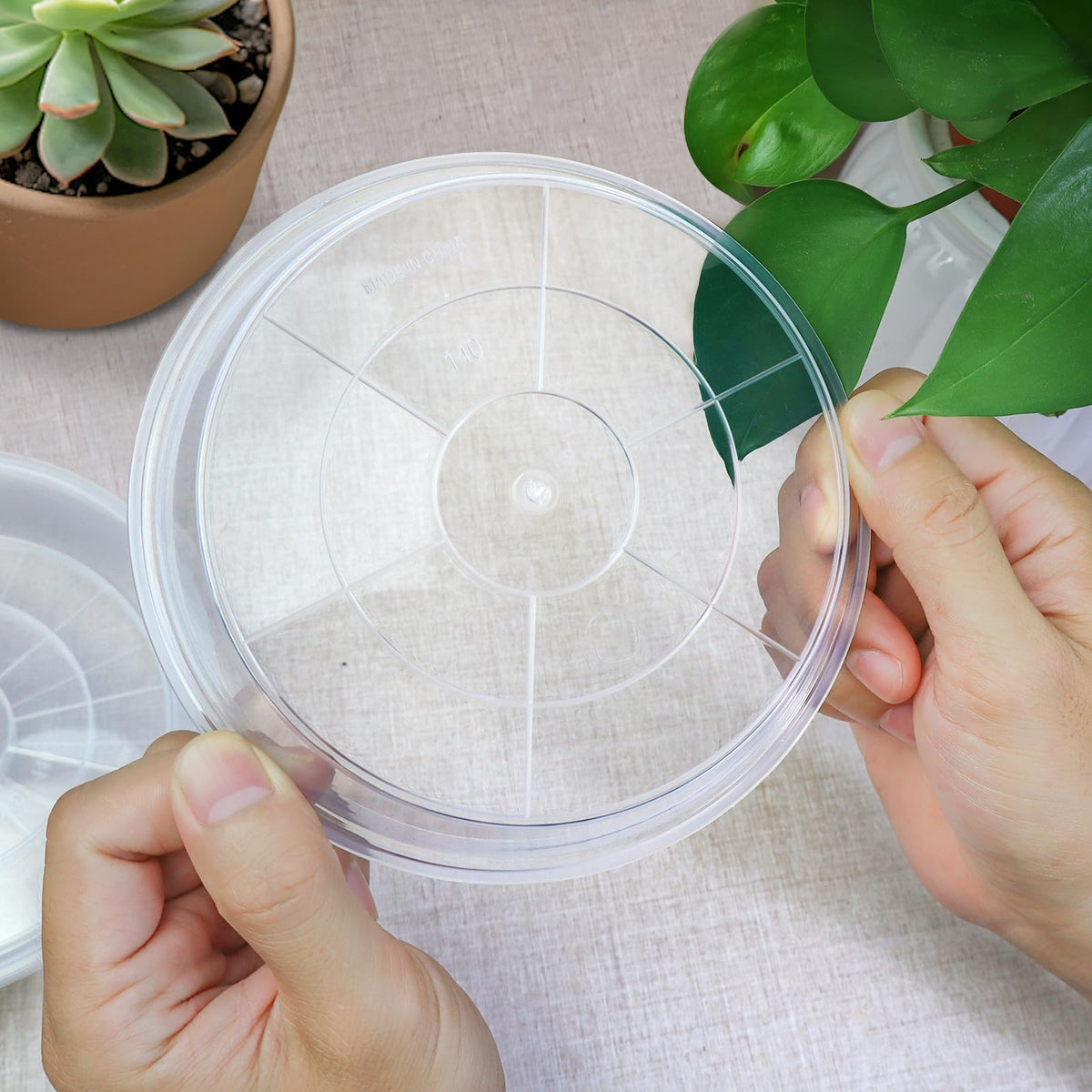 FUIJOL clear saucer supports indoor-outdoor use for tidy plant setups.